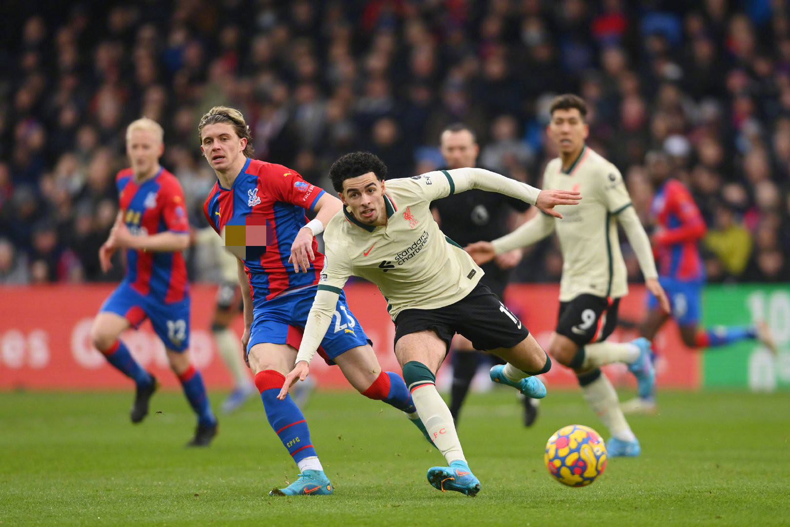 积极向教练 积极向教练