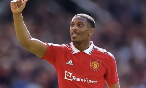 这将有助于 这将有助于